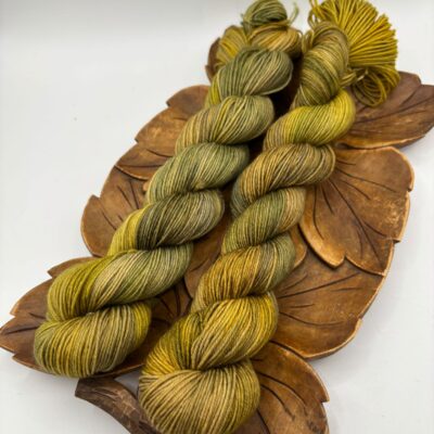 WhatsApp Image 2026-06-21 at 16.54.52